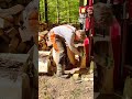 log splitter hydraulic