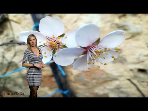 belleza española / ✨La hermosa española 🇪🇸 ✨♥️ / Hot Spanish Weather Girl 🇪🇸 🔥 / Beatriz Casado