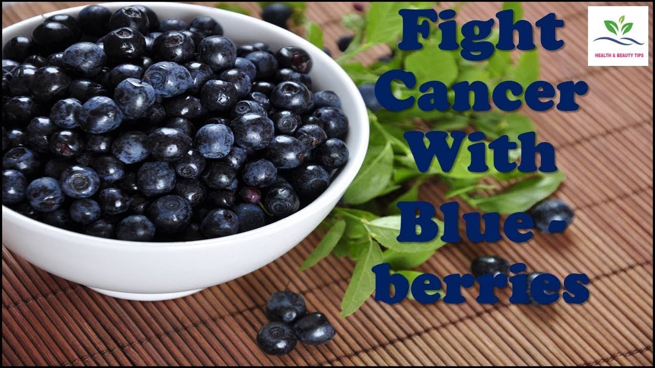 Fight Cancer With Blueberries Health Benefits Of Blueberries