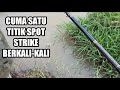 Mancing disini gak pakai lama  hitungan detik strike ikan bertubitubi