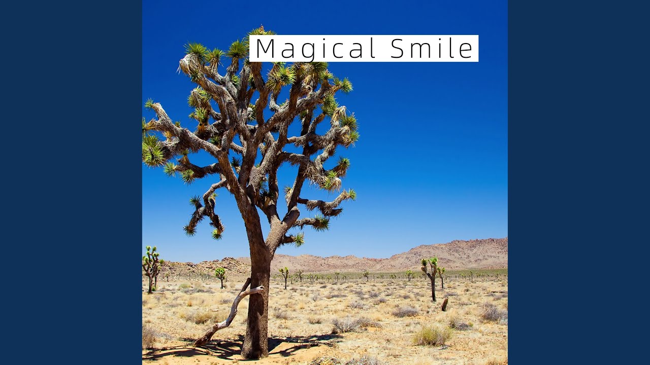 Παρακολούθηση Safe Under The Stars στο YouTube