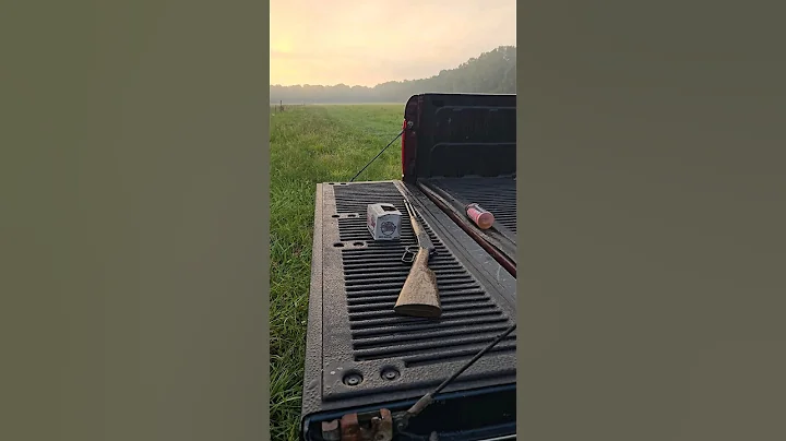 94 Daisy BB gun! #vintage #youtubeshorts #airgun