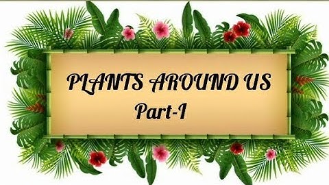 PLANTS AROUND US (Part-I)