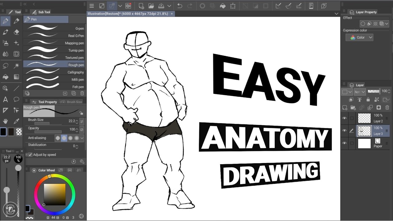 How to Draw Easy Male Anatomy || Easy Anatomy Drawing For Beginners ...