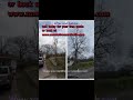 Www.zamoratreeservicellc.com             #treecutting #treeservice