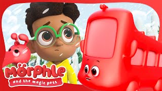 The Wheels On Morphle Go Round | Morphle and the Magic Pets | Available on Disney+ and Disney Jr by Moonbug Kids - Celebrating Diversity 6,059 views 1 month ago 7 minutes, 7 seconds