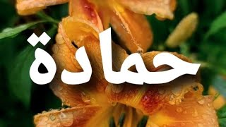 أغنية أسم حمادة #حمادة