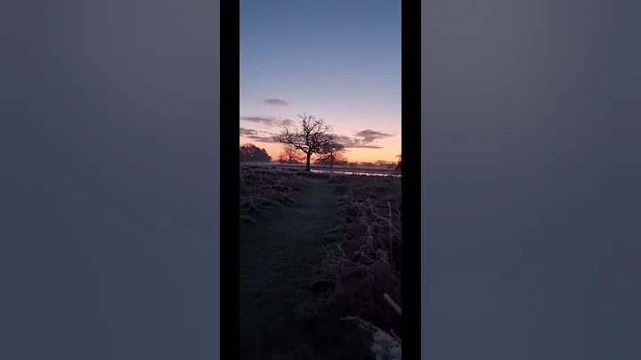 The start of Winter, a magical Frosty Morning. #fr...