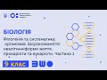 9 клас. Біологія. Філогенія та систематика організмів. Біорізноманіття. Частина 1