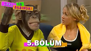 Çarli İş Başında 5. Bölüm - FULL BÖLÜM