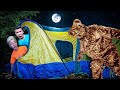 Camping forestier 24 heures sur 24 dfi