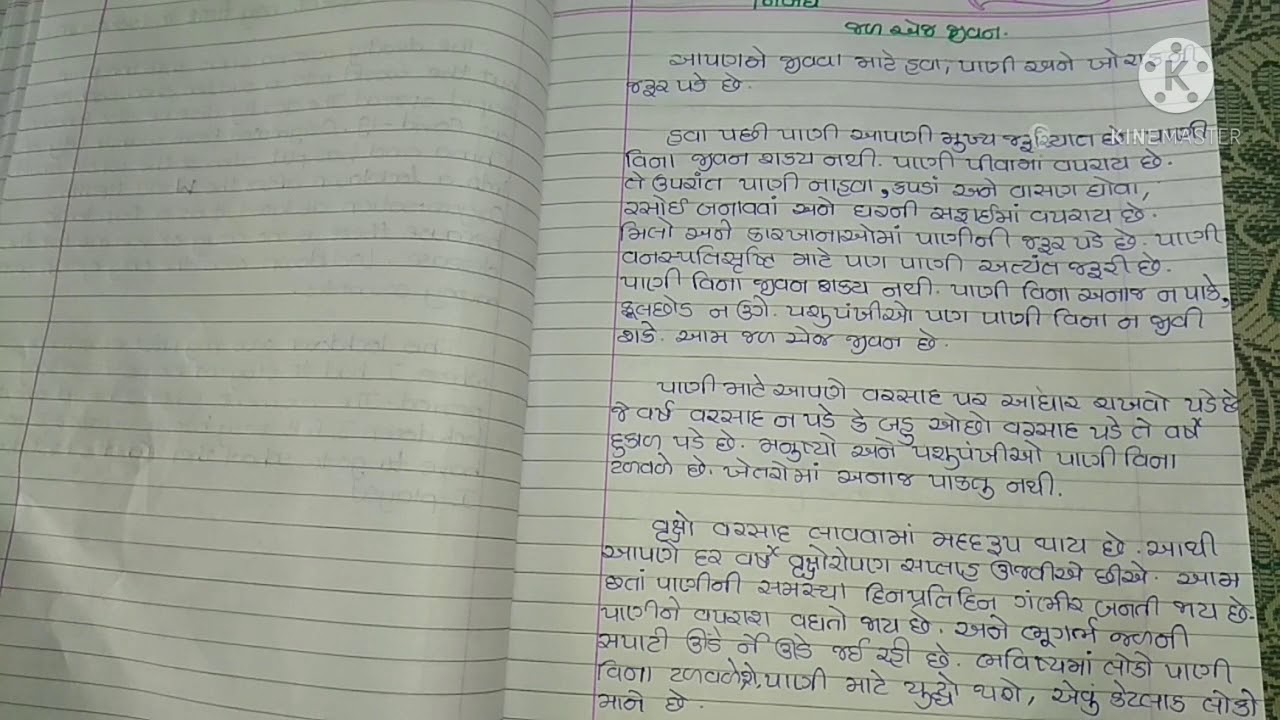 book essay in gujarati