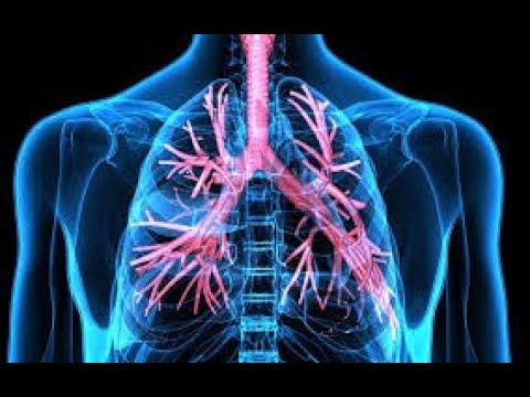 Physiologie respiratoire 1
