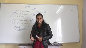 ""What is visual basic ? " class 8 computer basic