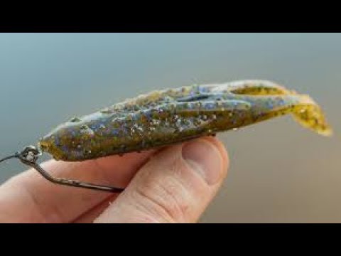 Image result for toad lure