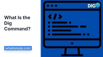 What Is the Dig Command?