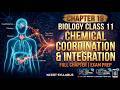 Chemical Coordination and Integration Class 11 Biology Chapter 19 | Full Chapter Explained