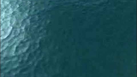 3D OCTOPUS MAS MIXWELL