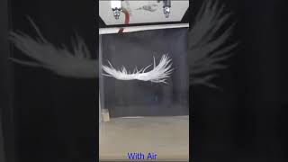 Feathers Fall Fast in a Vacuum