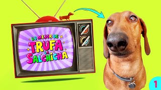 The BEST of Trufa la Salchicha! 💖 | Salchi-Vision Ep: 1🌭
