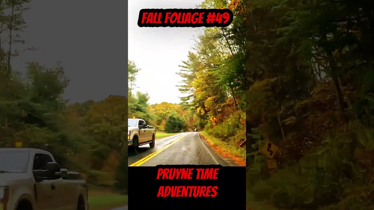 FALL FOLIAGE #49: Rathbone, NY; Autumn Drive & Rainy October Colors