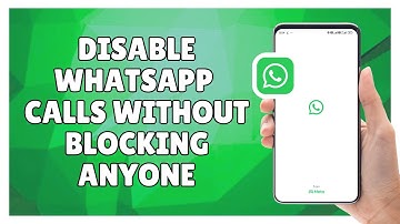 How to Disable WhatsApp Calls Without Blocking Anyone