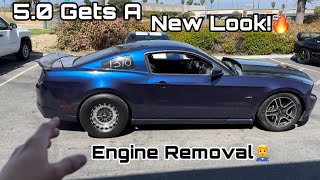 I BLEW MY ENGINE!? New Mods On My 5.0! #Ford #Mustang #GT