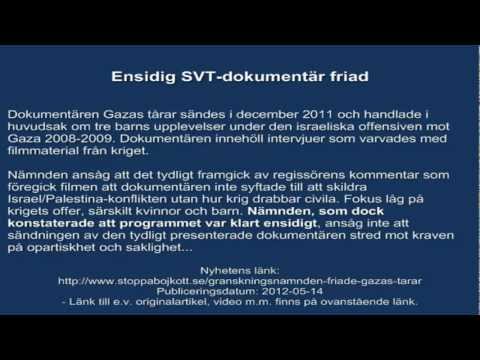 Ensidig SVT-dokumentär friad (!)