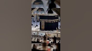 beautiful Islamic status #سورة_الإخلاص #ikhlas #madina #makkah #love #quran