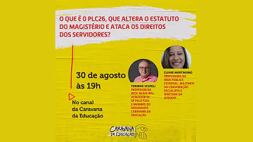O que é Estatuto do magistério?