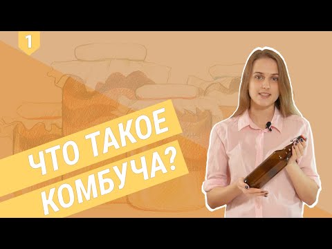 Video: Ima Li Kombucha Kofein? Koliko?