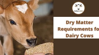 how to calculate dry matter for dairy cows screenshot 2