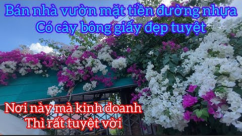 Tập 426: Bán nhà vườn đẹp như tranh vẽ, mặt tiền huyện lộ, xe cộ tấp nập, tại huyện Gò Công tây TG