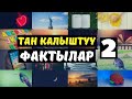 Тан калыштуу фактылар / Кызыктуу маалыматтар (80+ факт)