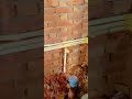 wall hung seat and body z #wallhanging #body #share #viralvideo #viral