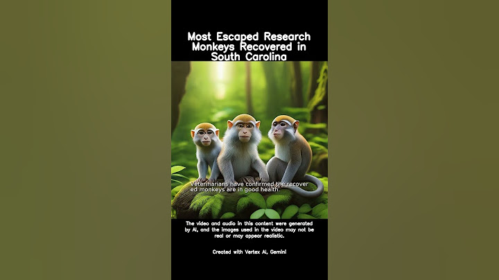 Most Escaped Research Monkeys Recovered in South Carolina #new #shorts