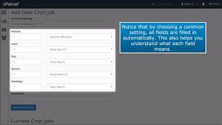 cpanel: how to setup a cron job