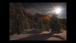 Video thumbnail of "Toploader-Dancing in the moonlight"