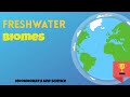 Freshwater Biomes and Their Unique Ecosystems