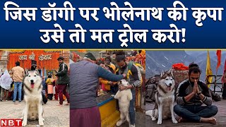 Kedarnath Dog News: कुत्ते के साथ केदारनाथ जाने वाले Rohan Tyagi ने Social Media Trolls को दिया जवाब