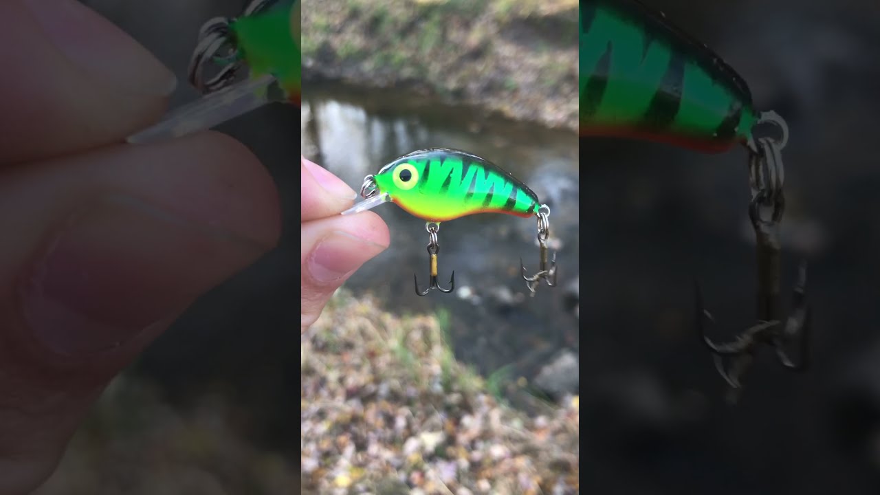 The Best Creek Fishing Lures Shorts