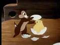 Cartoon tube | Chip "N" Dale - Chicken In The Rough | Video tube