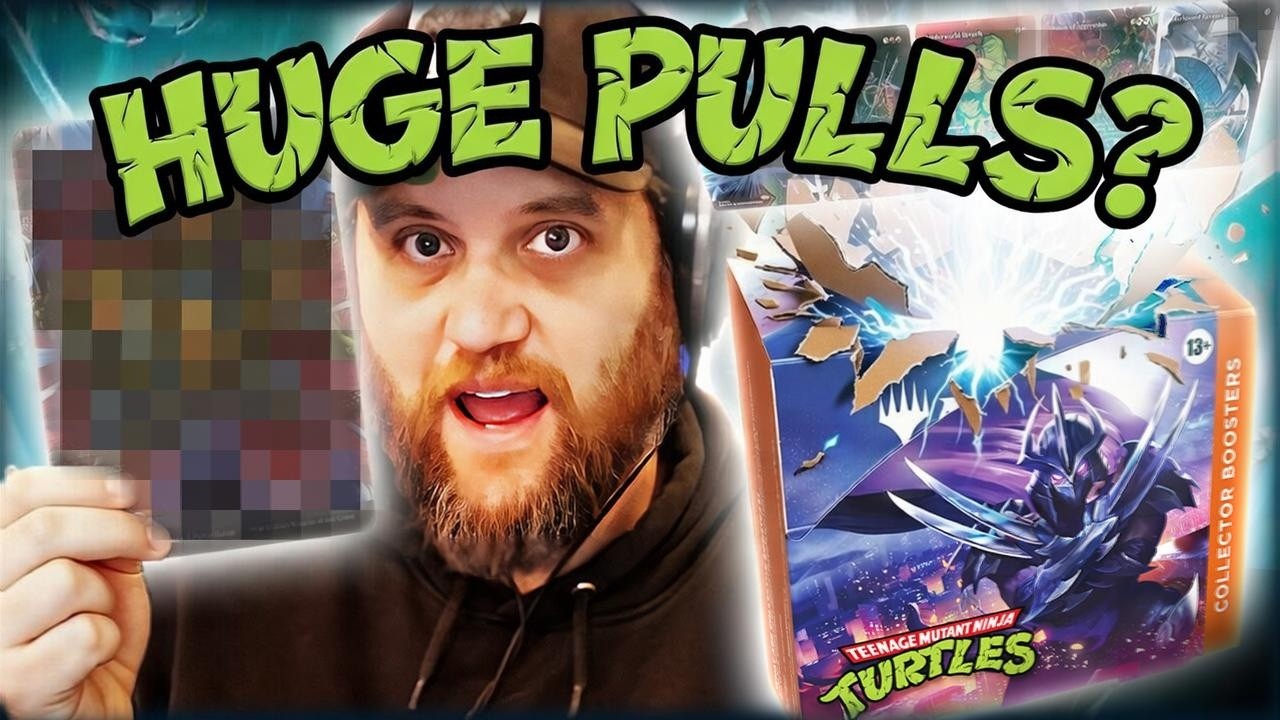 TURTLES COLLECTOR BOX 3