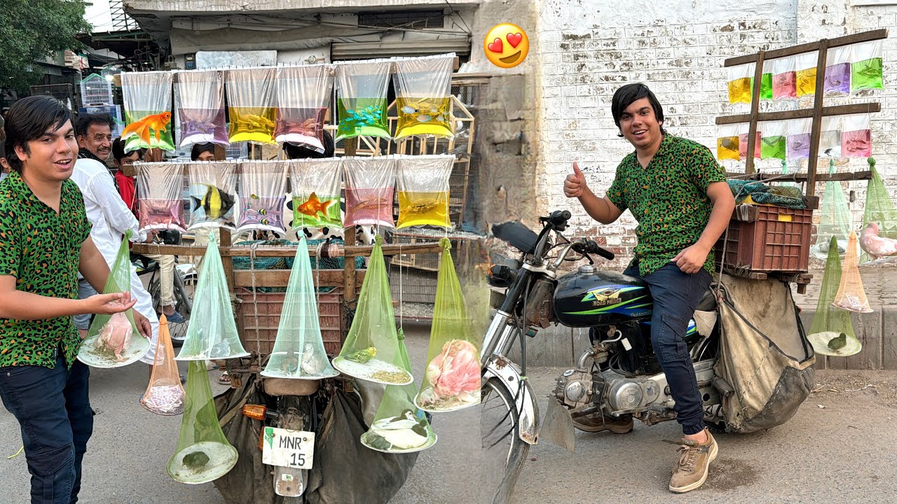 I Bought The Whole Fish Shop 🐠 Surprise 😍