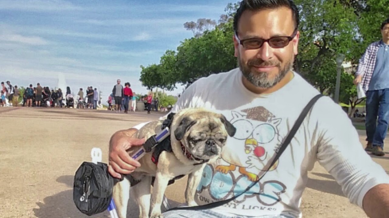 wheelchair sign Portraits of Compassion: Ronnie & Dotty!