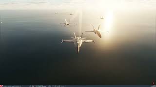 DCS | Missing Man Formation for Flip - Part 59
