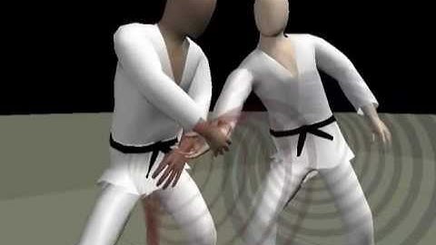 Aikido - 5th Kyu - Katatetori Shiho-nage Ura [D]