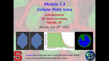 CC3D WS 1.3: CPM/GGH Model Principles and Constraints [Julio Belmonte] July 29, 2024