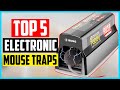 Top 5 Best Electronic Mouse Traps in 2024 Reviews