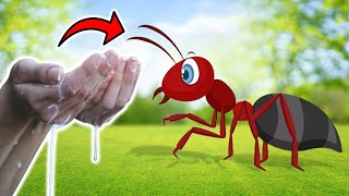 Fast-Acting Ant Control: Eliminate Ants in 2 Minutes